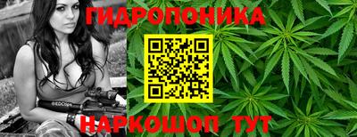 альфа пвп Кандалакша