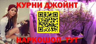 мдма Камышлов