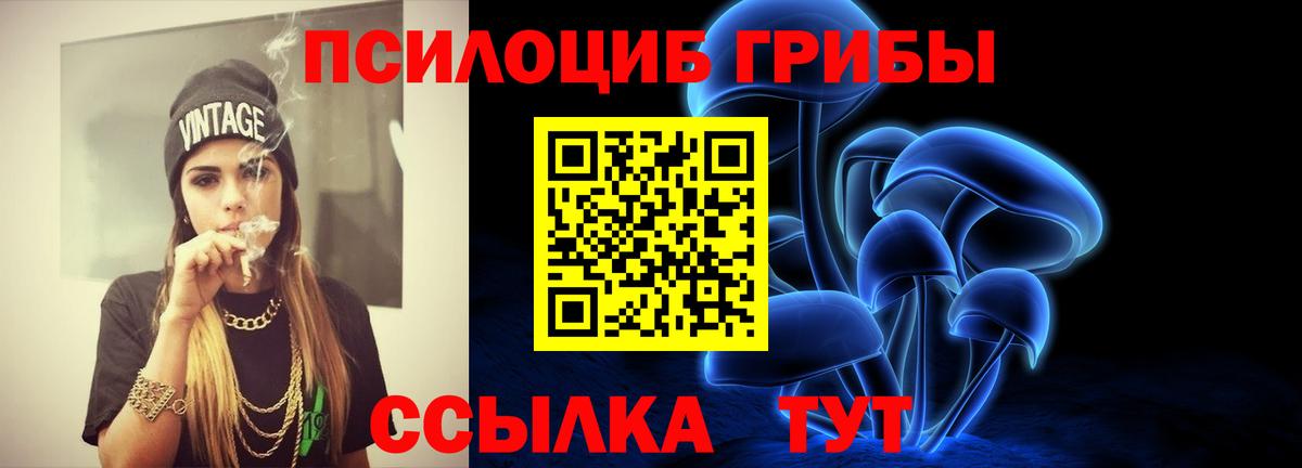 Елабуга  Псилоцибиновые грибы ЛСД  Вход с VPN 