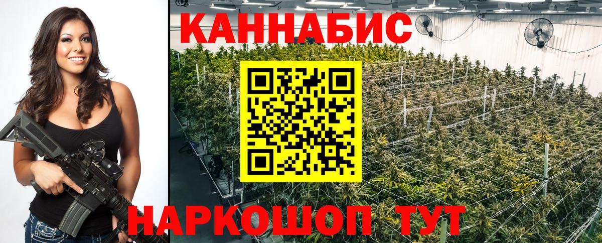 Конопля семена  Канабис MAZAR  Елабуга  Вход с VPN 
